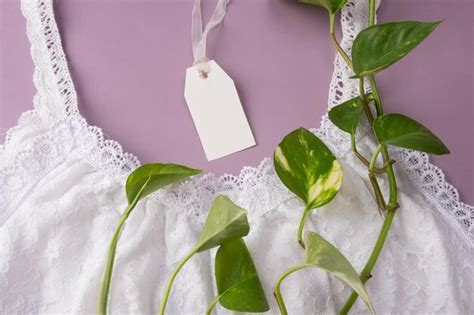 Etiqueta Lingerie Imagens Download Grátis no Freepik