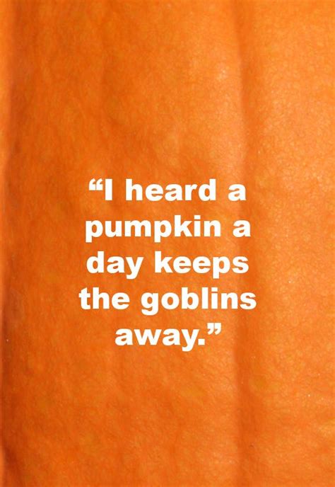 55 Best Pumpkin Quotes And Puns Pumpkin Sayings For Instagram