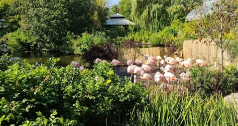 Lincoln Park Zoo - Go Wandering