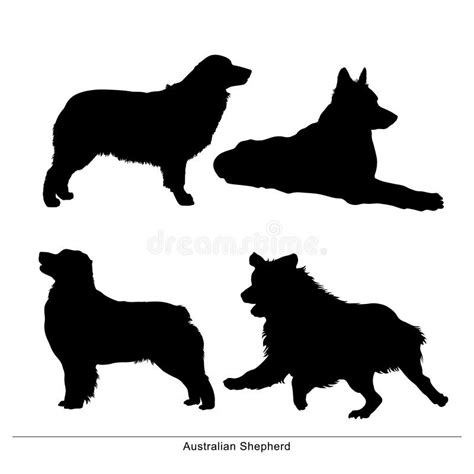 Australian Shepherd Silhouette Stock Illustrations 420 Australian Shepherd Silhouette Stock