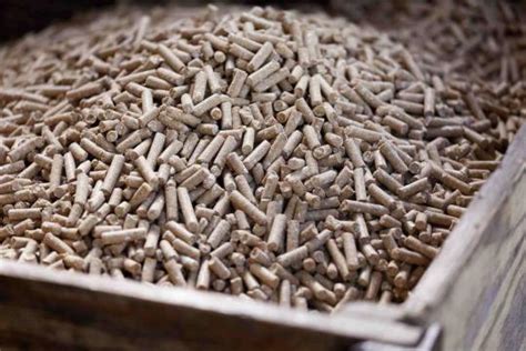 Жом в гранулах от производителя Буинский сахарный завод. Каталог 2025 ...