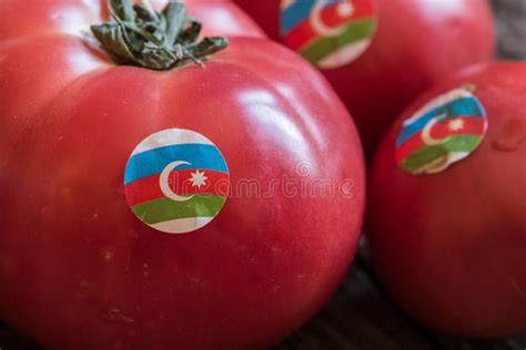 Varietal Azerbaijani Tomatoes For Export Stock Image Image Of Export