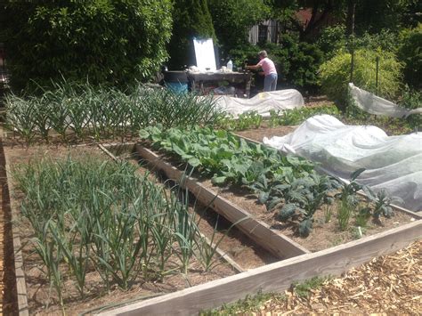 Philadelphia Planting Guide — The Spring Gardens