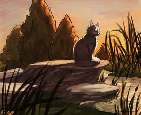 Коты-воители.Судьба племени. - Глава XXIII - Wattpad