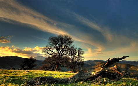 Обои небо, облака, деревья на рабочий стол