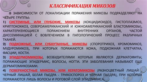 Основы микологии - презентация онлайн