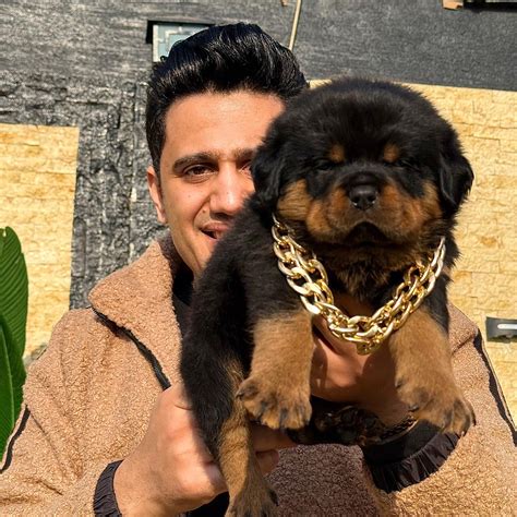 I adore rottwiler 😍🥰💪 #basemhunt #rottweiler #dog #dogs #روتوايلر #كلاب