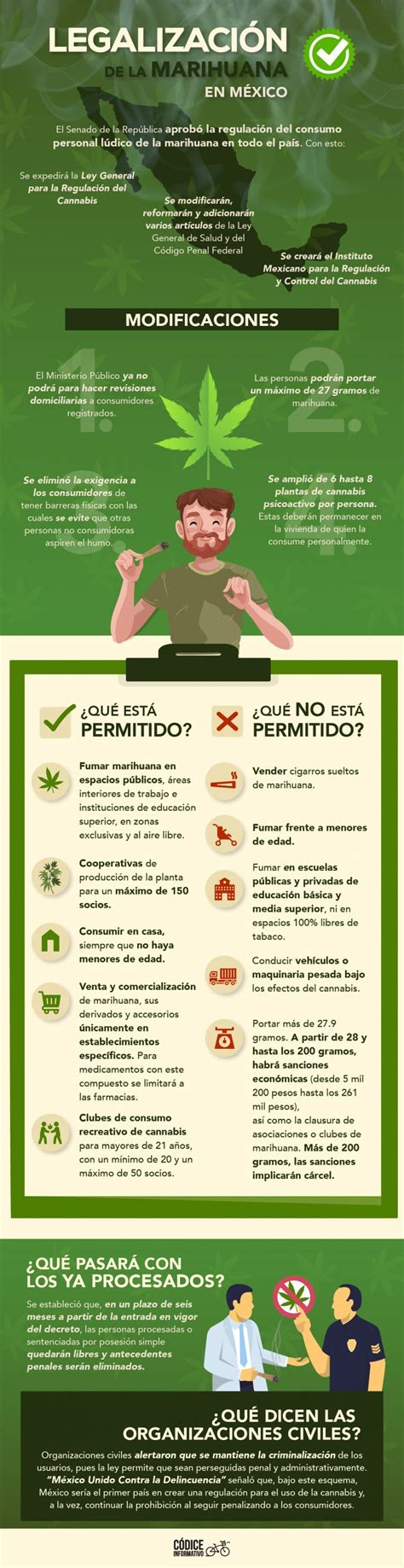 Legalización De La Marihuana En México Códice Informativo