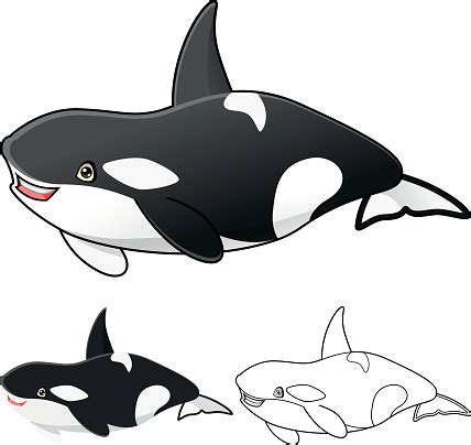 orca  istock