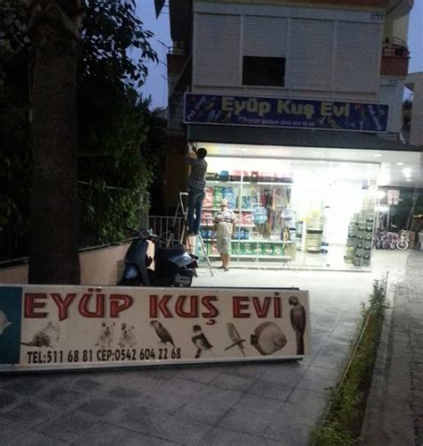 Alanya Petshop Adres Telefon Yol Tarifi Ve Yorumlar