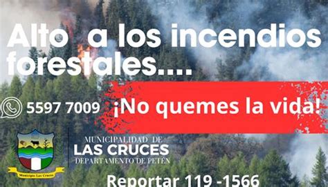 Prevengamos Los Incendios Forestales Municipalidad De Las Cruces