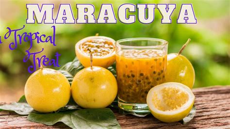 Maracuya Passion Fruit Is A Delicious Tropical Treat Youtube