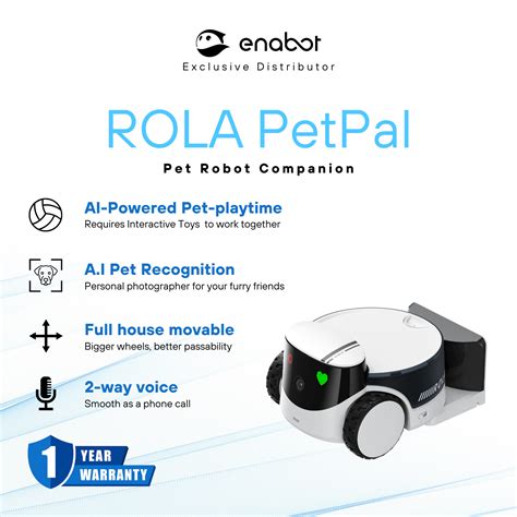 cats robot 5