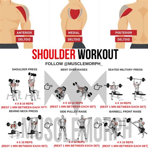 Shoulder Workout Deltoid Exercises Gym Bodybuilding Musclemorph Fitness Shoulder Workout