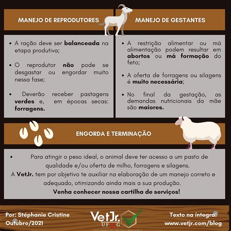 Manejo Nutricional De Ovinos E Caprinos