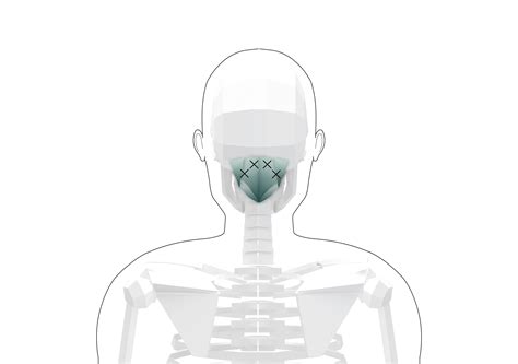 Suboccipitals Trigger Points (Overview and Tips for Self Treatment)