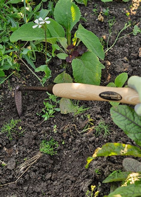 Купить удалитель сорняков Elements Spear & Jackson - Consta Garden ...