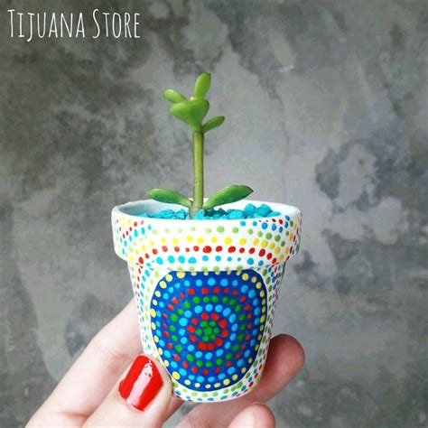 Planta Tu Sue Os Y Dejalos Crecer Tiny Cute Minimacetas Souvenirs