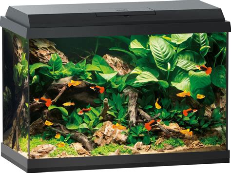 Тумба под аквариум 60 литров своими руками - 92 фото