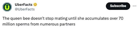 7 Mind-Blowing Revelations About the Sensualsunshine Leak! - rhwrr8b