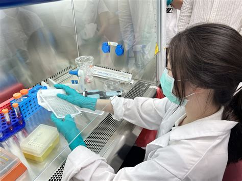 A deep dive into what exactly is meant by chula in english