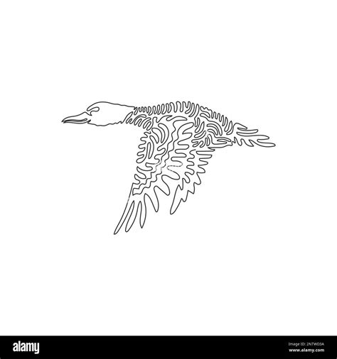 Male Mallard Ducks Stock Vector Images Alamy