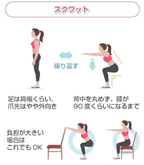 スクワットの効果とは？鍛えられる部位や効果的な実践方法を解説 Medipalette