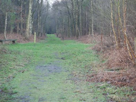 Four Track Junction David Pashley Geograph Britain And Ireland