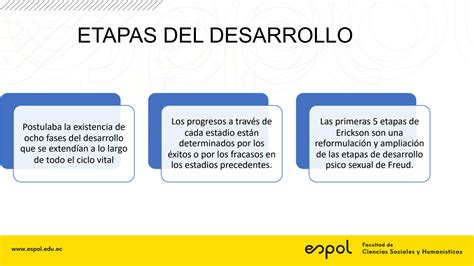 Solution Teor A Del Desarrollo Psicosocial Studypool