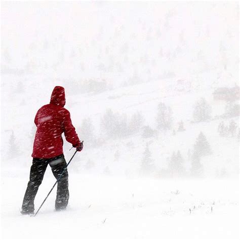 Sex Turister F Rsvunna I Fj Llen Svt Nyheter