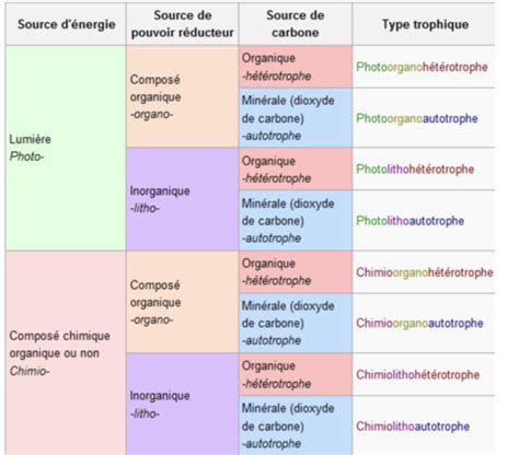 Microbiologie Cours 3 Types Trophiques Milieux De Culture