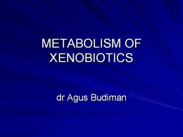 Metabolism of Xenobiotics Explained