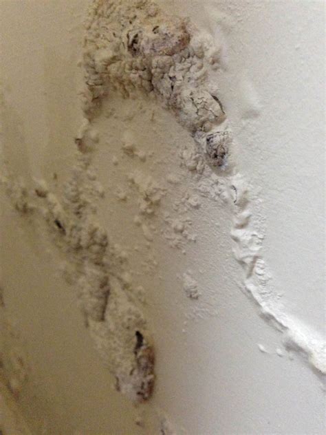 Rising Damp Repair Pureprotect