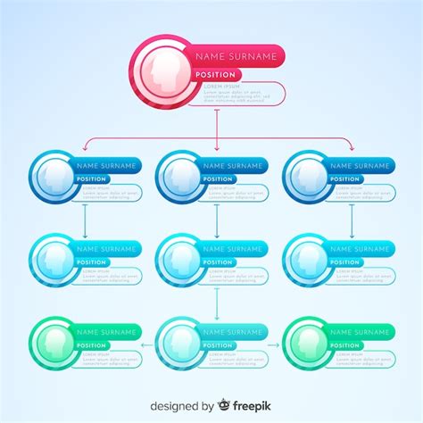 Premium Vector | Organization chart design