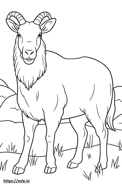 Boer Goat Kawaii Coloring Page