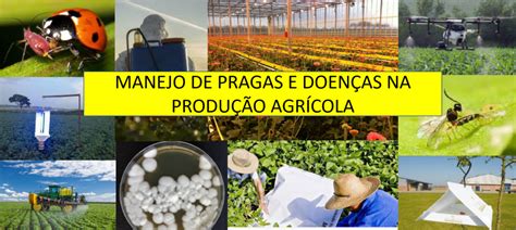 Manejo Integrado De Pragas E Doen As Descubra A Import Ncia Agrop S