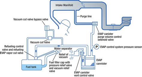 Nissan Frontier Evap System Diagram