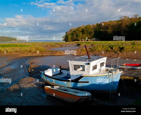 Tidal mudflats of the River Taf estuary in Laugharne Carmarthenshire