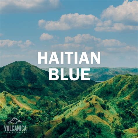 Volcanica Coffee Haitian Blue Coffee Haiti Coffee