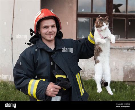 Firefighters Saving Cats