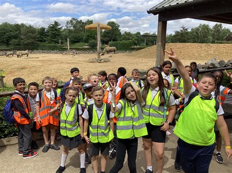 Millbrook Primary School On Twitter Ni7kud2ilr Twitter