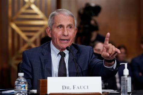 Opinion What The Fight Between Anthony Fauci And Rand Paul Is Really