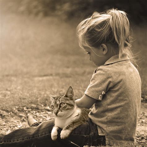 Selecting the Purrfect Cat Sitter For Your Pet – Happy Little Kitty