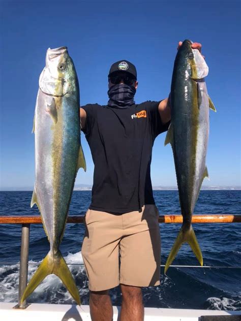 San Diego Fish Report Fish Report The San Diego Friday Report