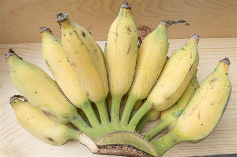 Raw Bananas Grouppisang Awak Banana Stock Photo Image Of Bananas