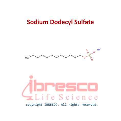 Sodium dodecyl Sulfate | سدیم دودسیل سولفات | ibresco