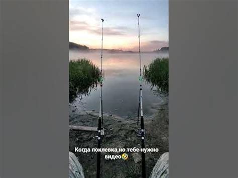 Поклёвка на крокодил#донка #рыбалка #поклевка#shorts - YouTube