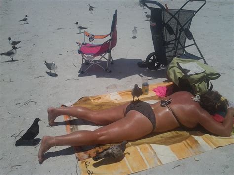 22 Swimsuits Porn Pictures XXX Photos Sex Images 4015763 Page 2 PICTOA