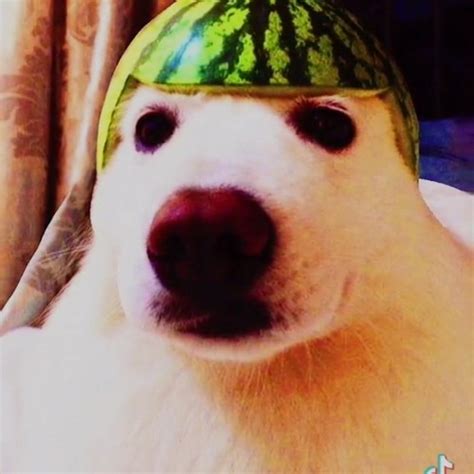 Stream Phạm Văn Hiếu Listen to Fuck everything playlist online for free on SoundCloud