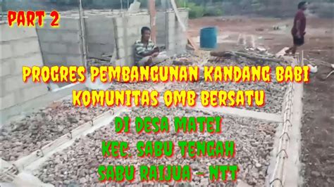 Progres Pembangunan Kandang Babi Omb Bersatu Di Desa Matei Sabu